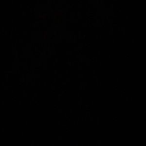 Meet your Posher, Lina